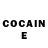 COCAIN Fish Scale mika S005