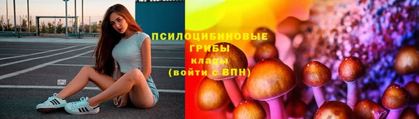 PSILOCYBIN Арсеньев