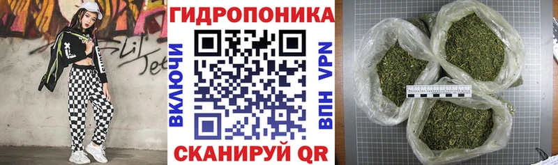 Бошки Шишки конопля  Пушкино 